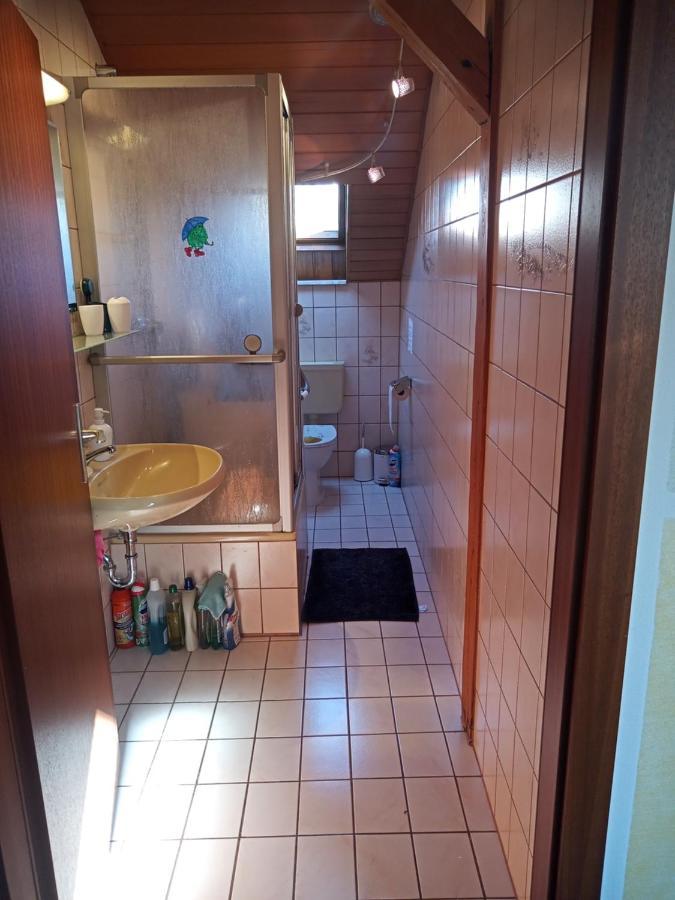 Wohnung Mit 2 - 3 Zimmern Ballenberg Dış mekan fotoğraf