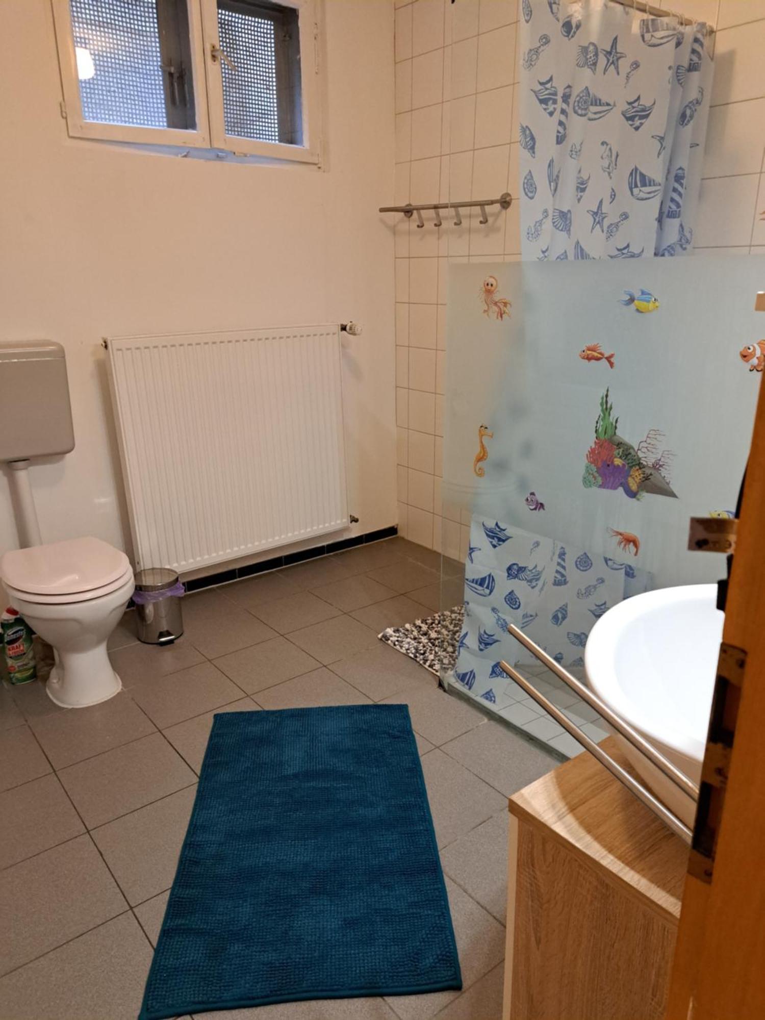 Wohnung Mit 2 - 3 Zimmern Ballenberg Dış mekan fotoğraf