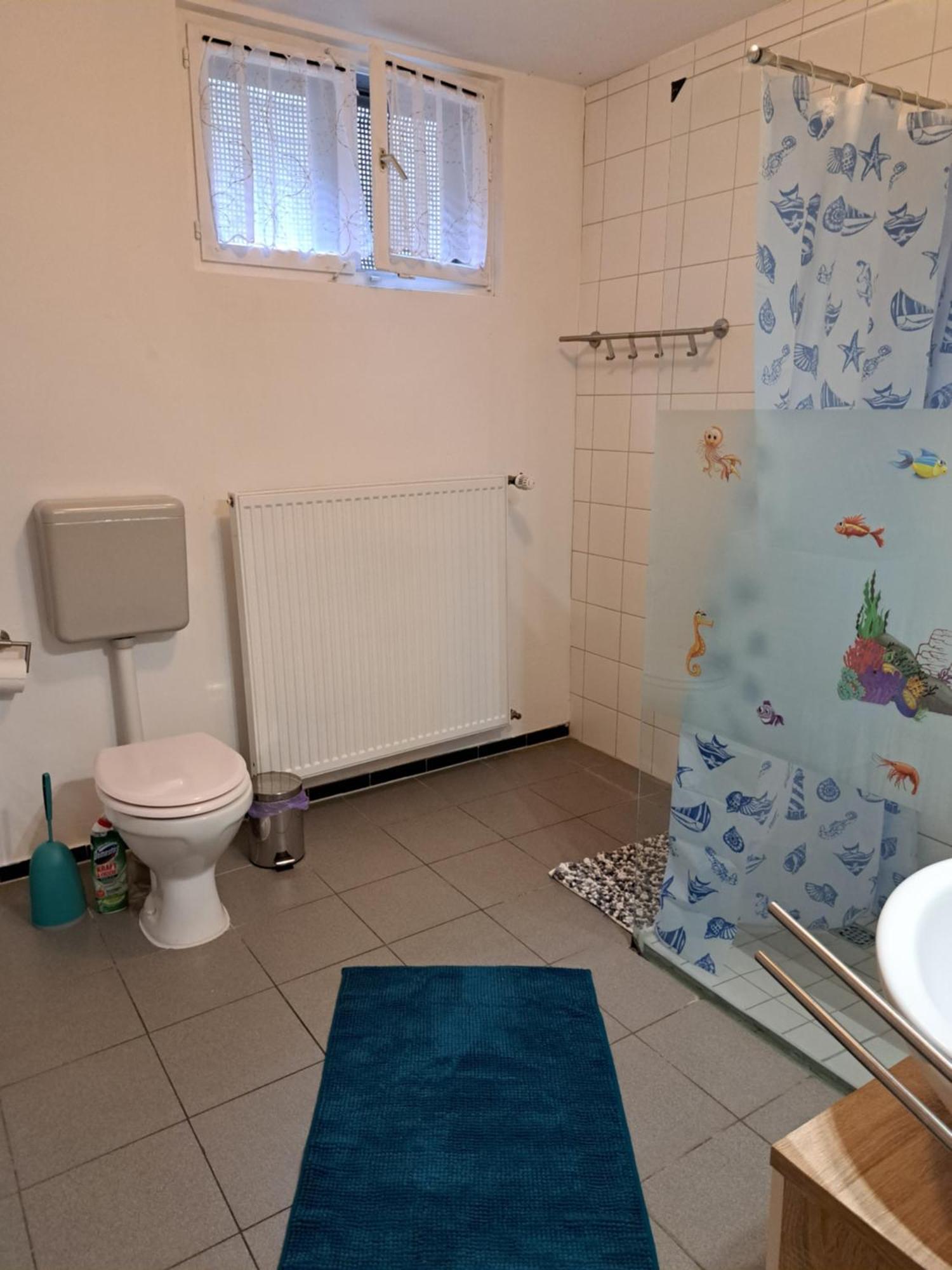 Wohnung Mit 2 - 3 Zimmern Ballenberg Dış mekan fotoğraf
