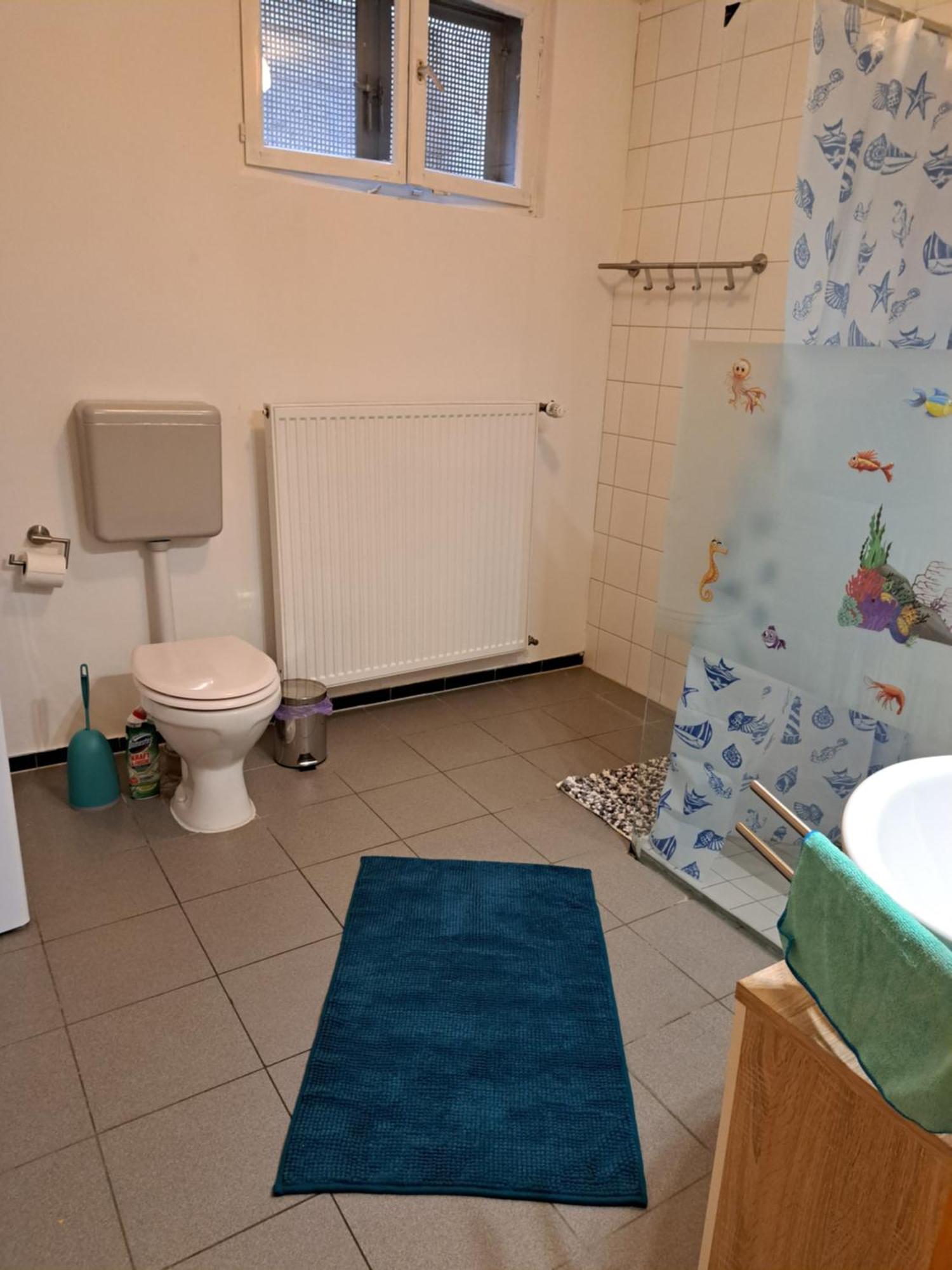 Wohnung Mit 2 - 3 Zimmern Ballenberg Dış mekan fotoğraf
