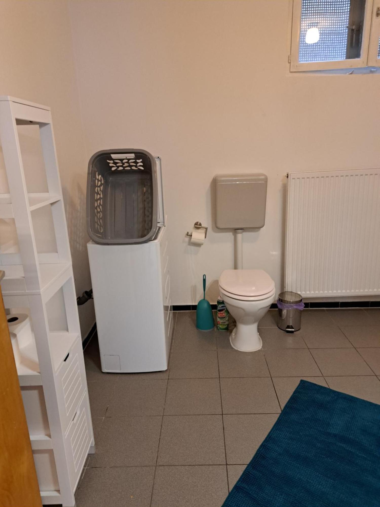 Wohnung Mit 2 - 3 Zimmern Ballenberg Dış mekan fotoğraf